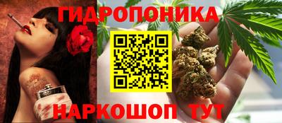 спиды Будённовск