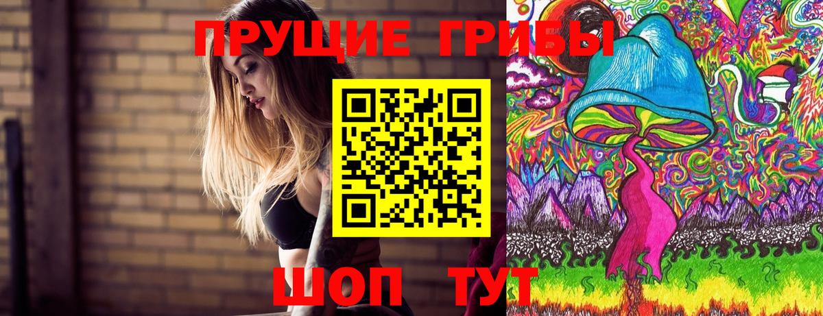 Псилоцибиновые грибы Psilocybine cubensis Усть-Лабинск